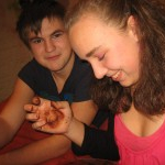 Vorweihnachtsbäckerei